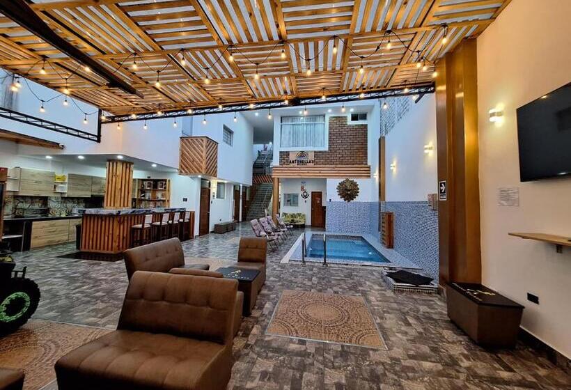 Hotel Antonella S House