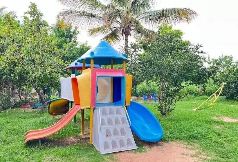 ホテル Pousada Oásis Do Sertão