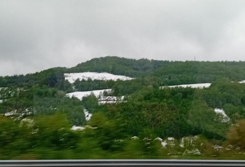 پانسیون Medina