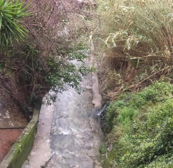 پانسیون Medina