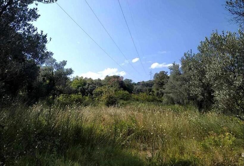 پانسیون Medina