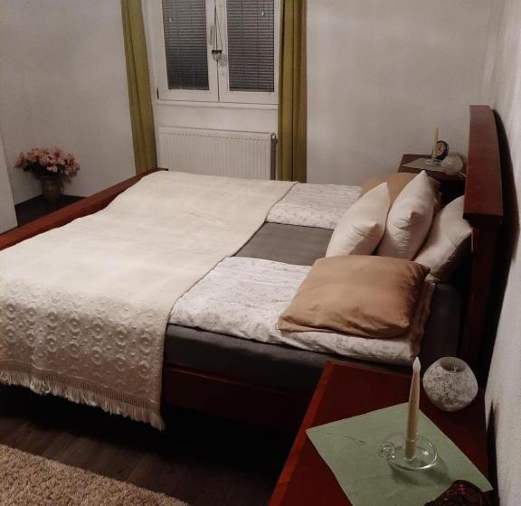 پانسیون Medina