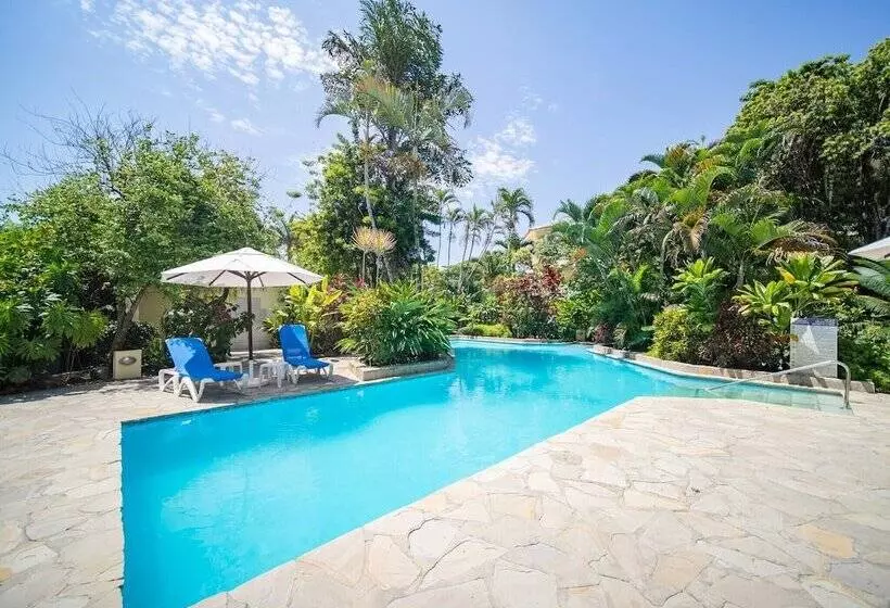 Majatalo Room In Guest Room 2br Caribbean Condo In Cabarete Center