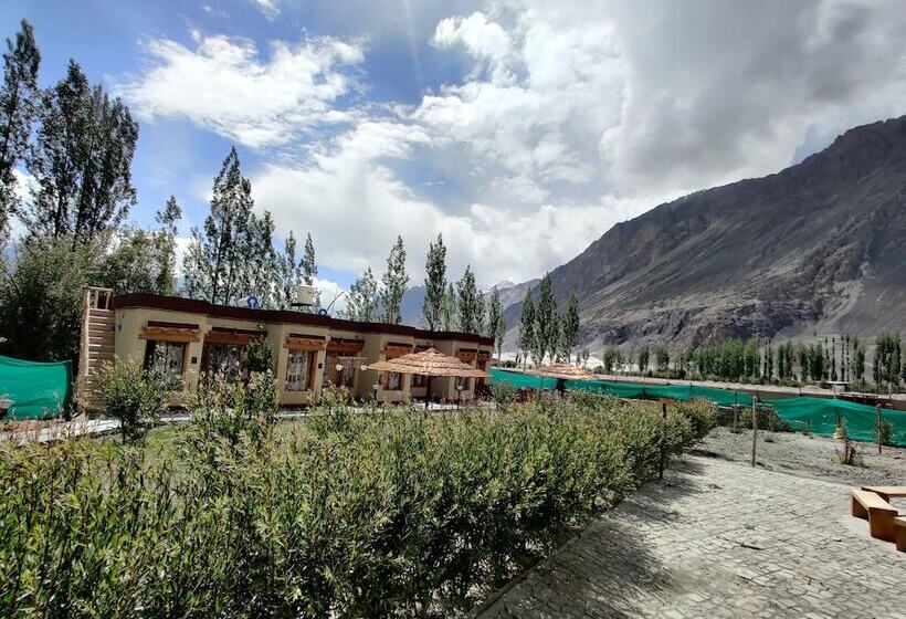 Hotel White Sands Resort  Best Resort In Nubra