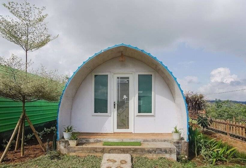 호텔 Rainbow Glamping