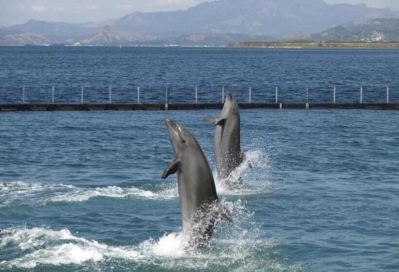 Mango Valley Hotel 5