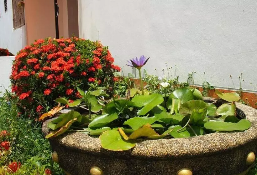 ホテル New Home Nakhon Chai Si