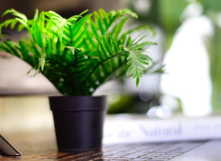 3333 Luz Del Valle Hotel Boutique