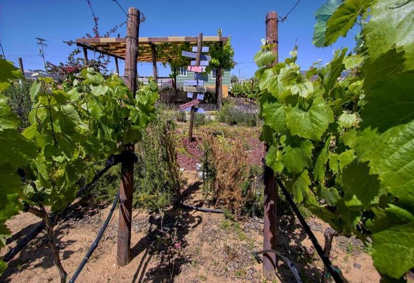 3333 Luz Del Valle Hotel Boutique