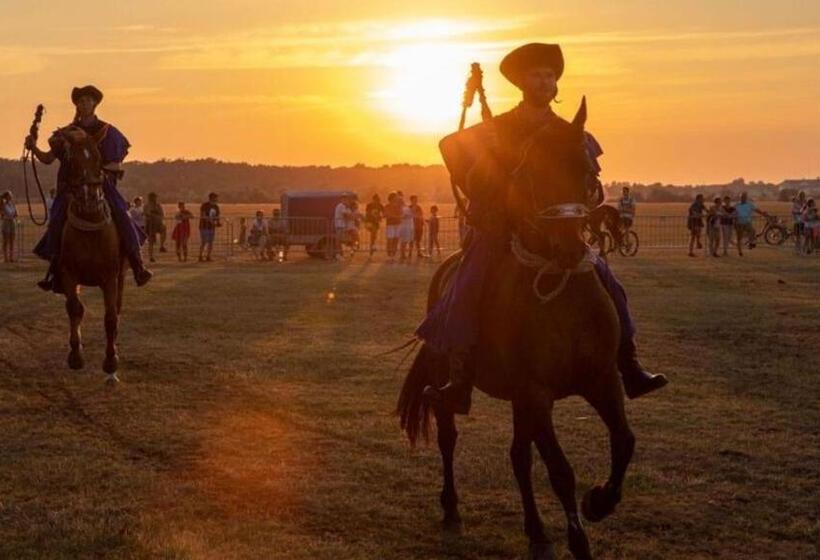 Pensionat Kölcsey 21 Vendégház
