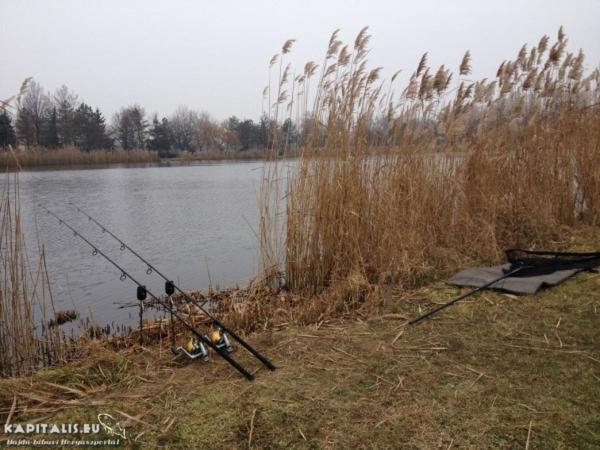 Pensionat Kölcsey 21 Vendégház