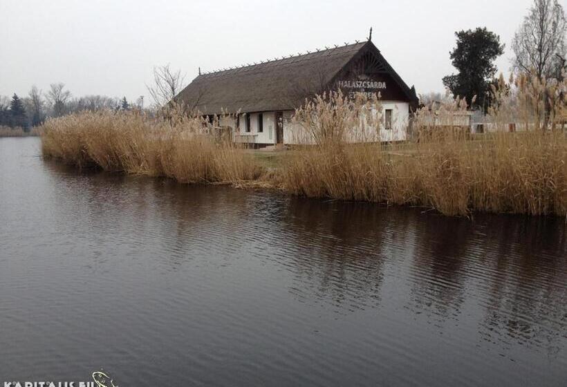 Pensionat Kölcsey 21 Vendégház