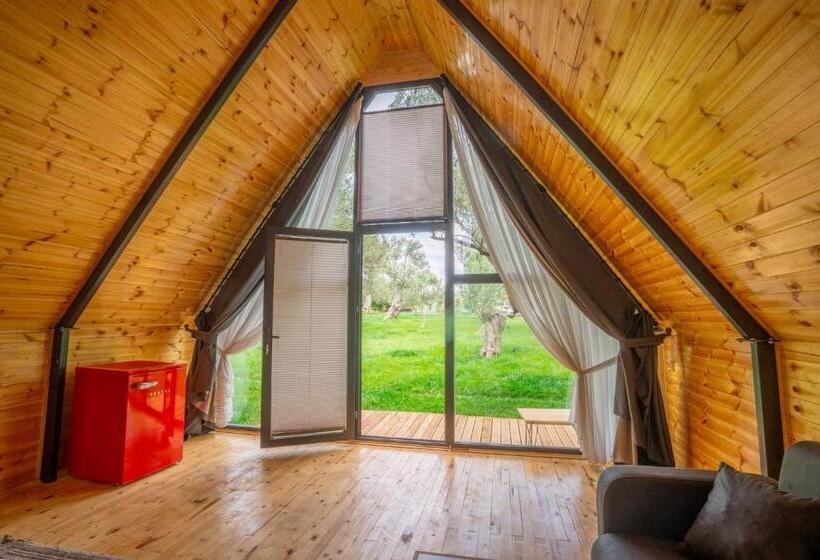 مبيت وإفطار Alegorri Homes