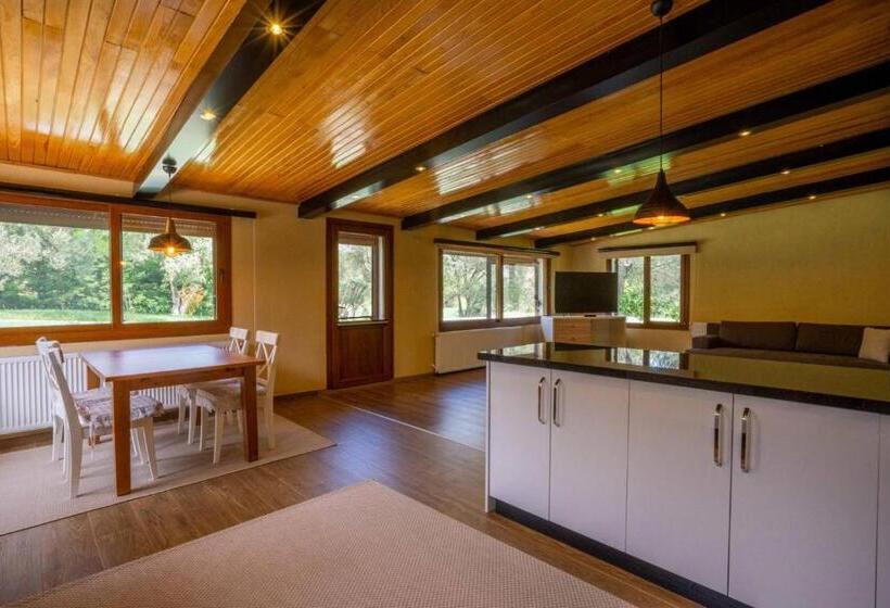 مبيت وإفطار Alegorri Homes