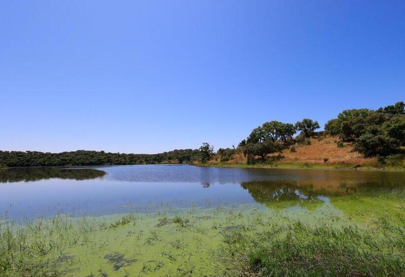 هتل Monte De Bordalos