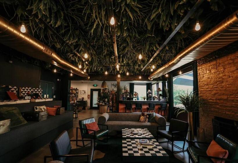 渡假胜地 Daydreamer Domes