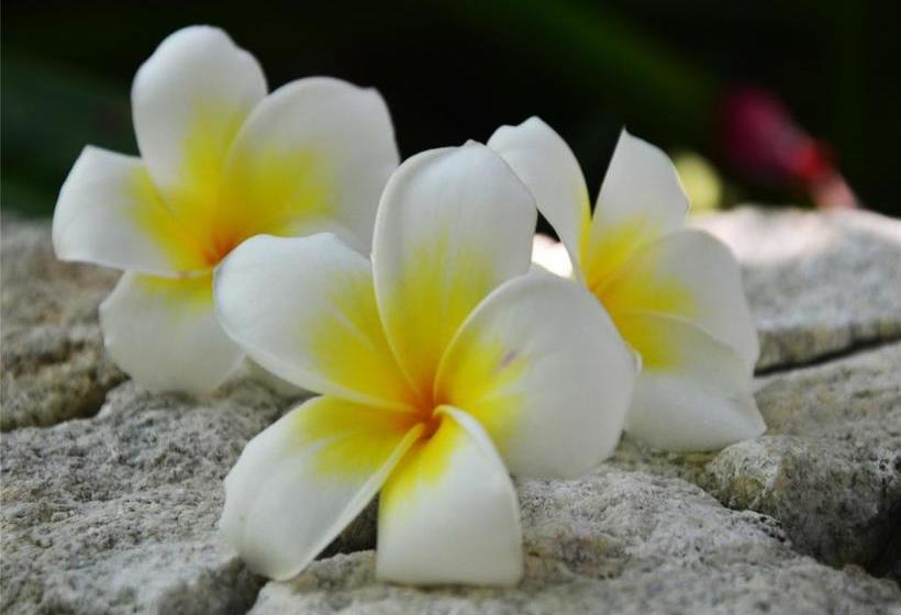 Otel Xiamen Smart Hero Club