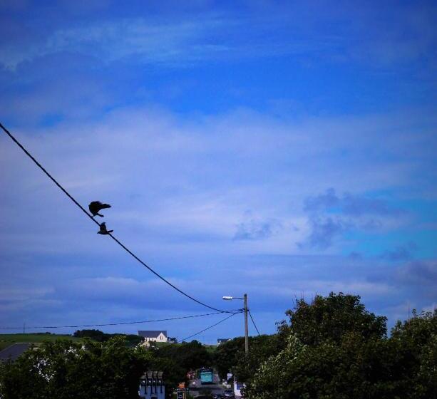 Vandrarhem Doolin House