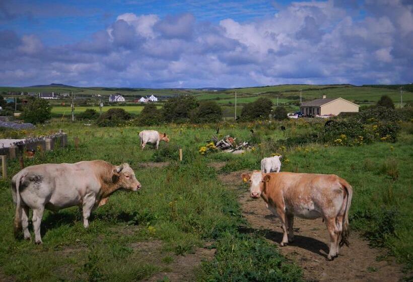 Vandrarhem Doolin House
