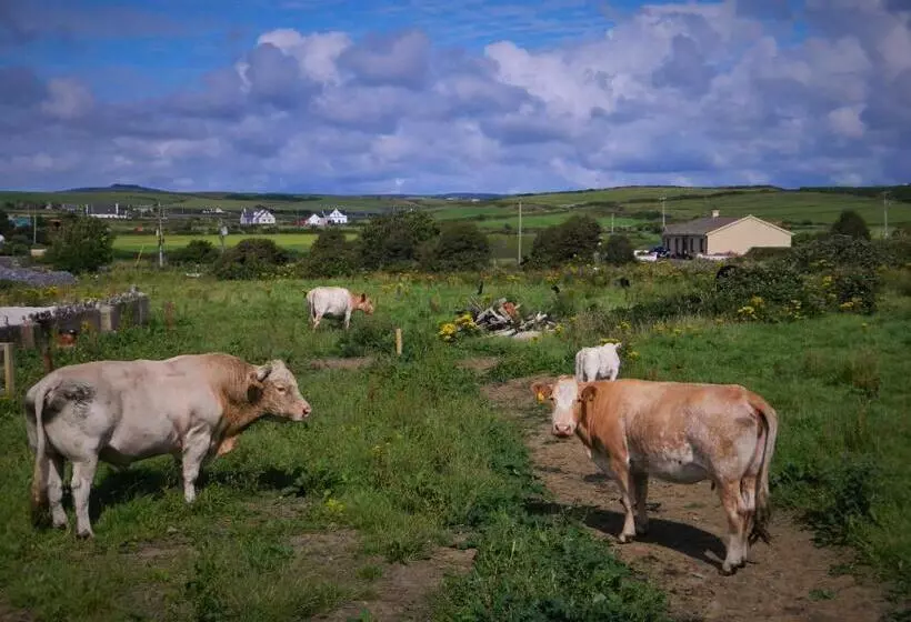 Ostello Doolin House