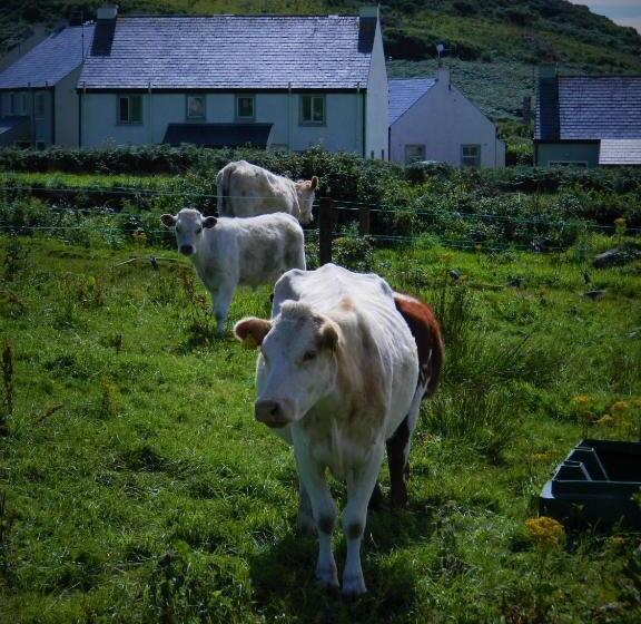 Vandrarhem Doolin House