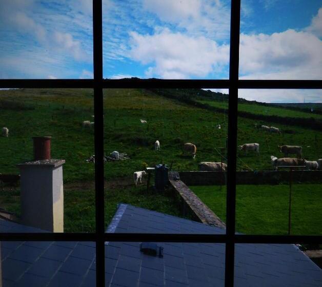 Vandrarhem Doolin House