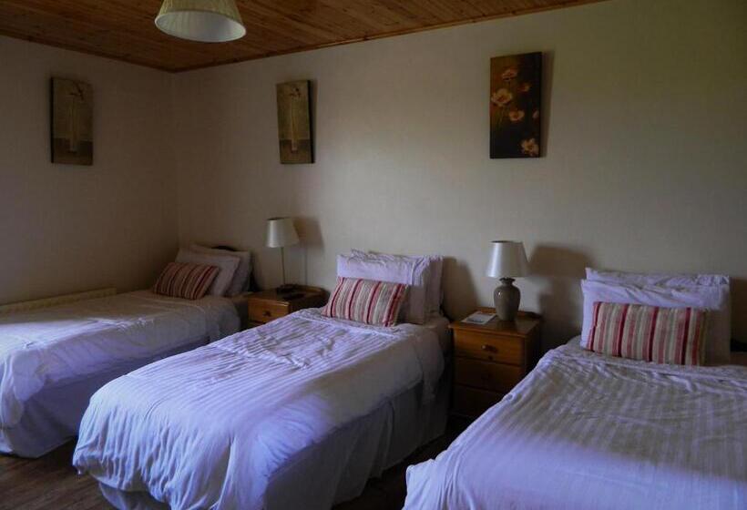 Vandrarhem Doolin House