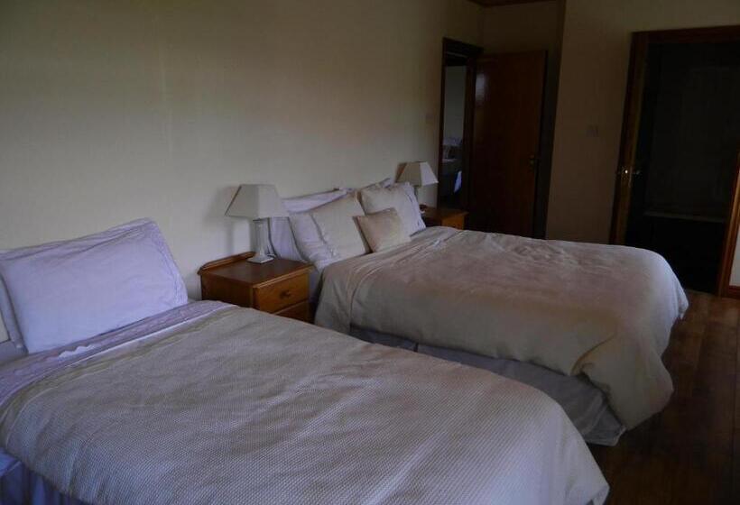 Vandrarhem Doolin House