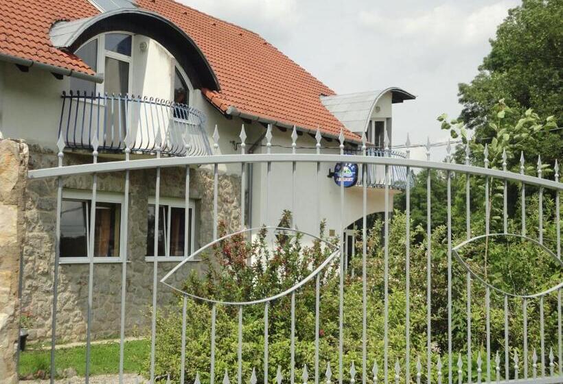 Asthmahotel Abaliget