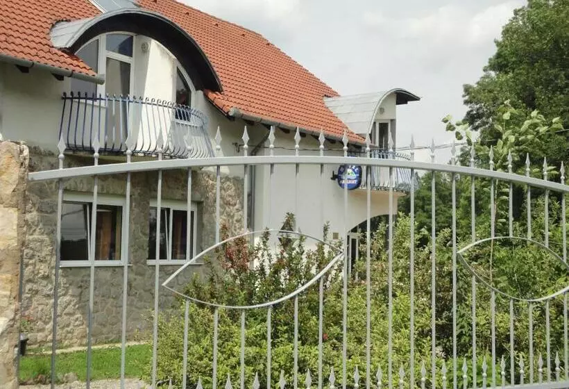 Asthmahotel Abaliget