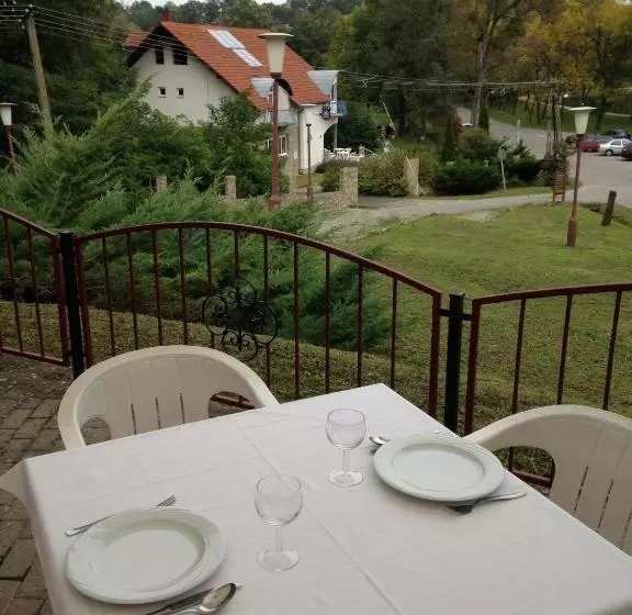 Asthmahotel Abaliget
