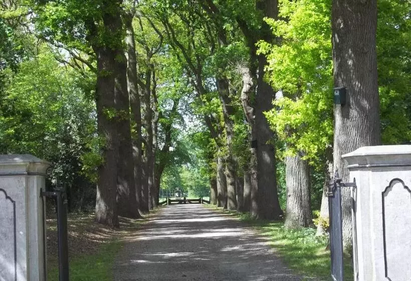 Aamiaismajoitus (B&B) T Griene Hemeltsje