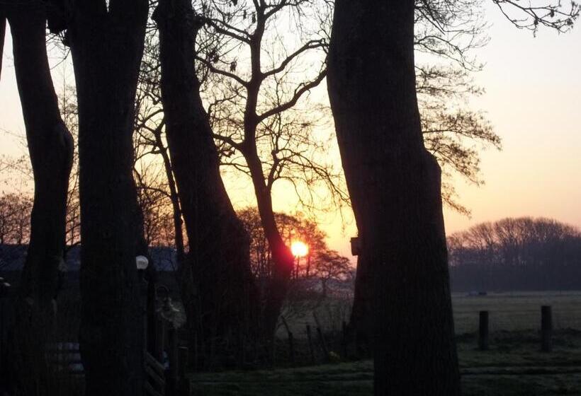 민박 T Griene Hemeltsje