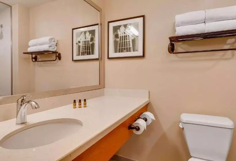 Best Western Plus Tuscumbia/muscle Shoals Hotel & Suites