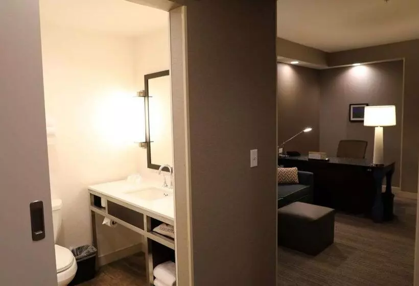 هتل Hilton Garden Inn Austin Airport