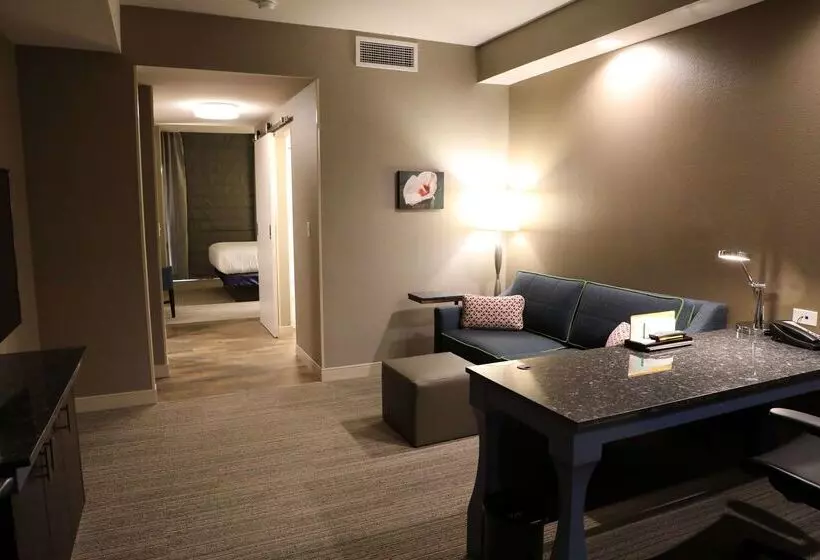 هتل Hilton Garden Inn Austin Airport