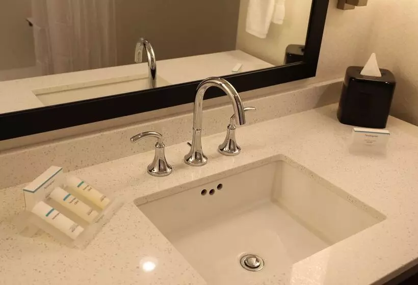 هتل Hilton Garden Inn Austin Airport