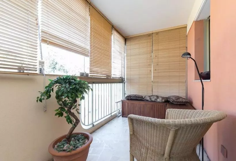Sunny Mercury   Room In Apartment