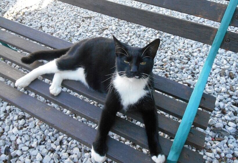 مبيت وإفطار Obesa Lodge