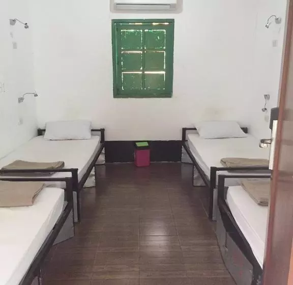Dream Home Hostel