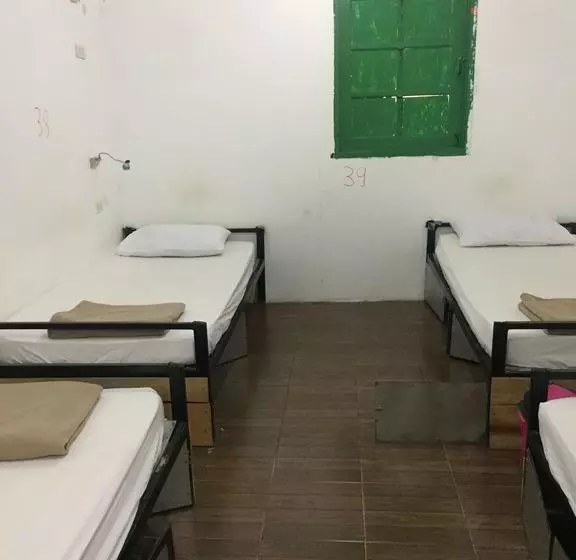 Dream Home Hostel