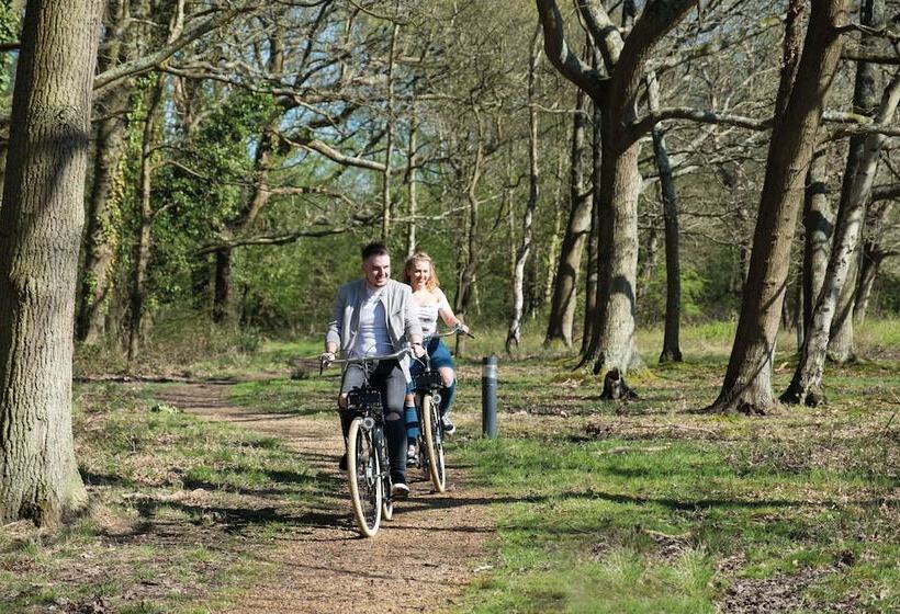 酒店 Lodge At Solent