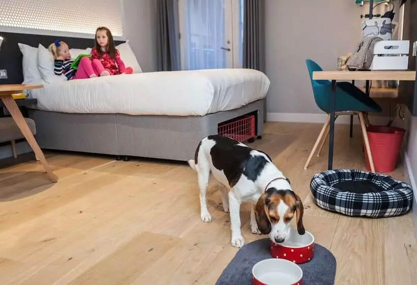 هتل Lodge At Solent