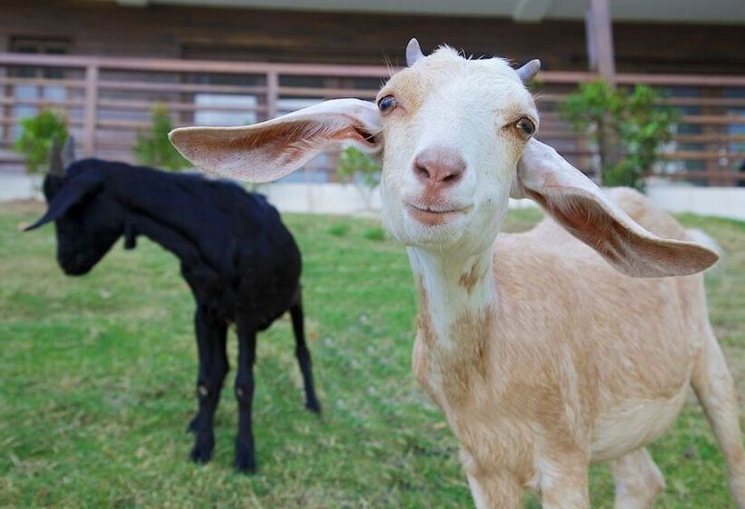 La Chevrerie Resort & Spa