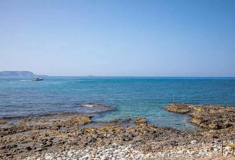Rania Studios