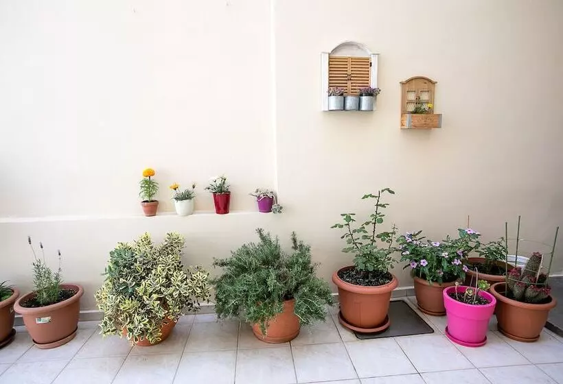 Rania Studios