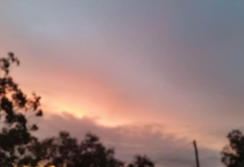 Sonja S Bed And Breakfast