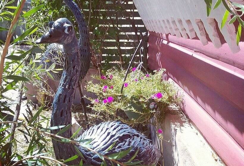 Sonja S Bed And Breakfast