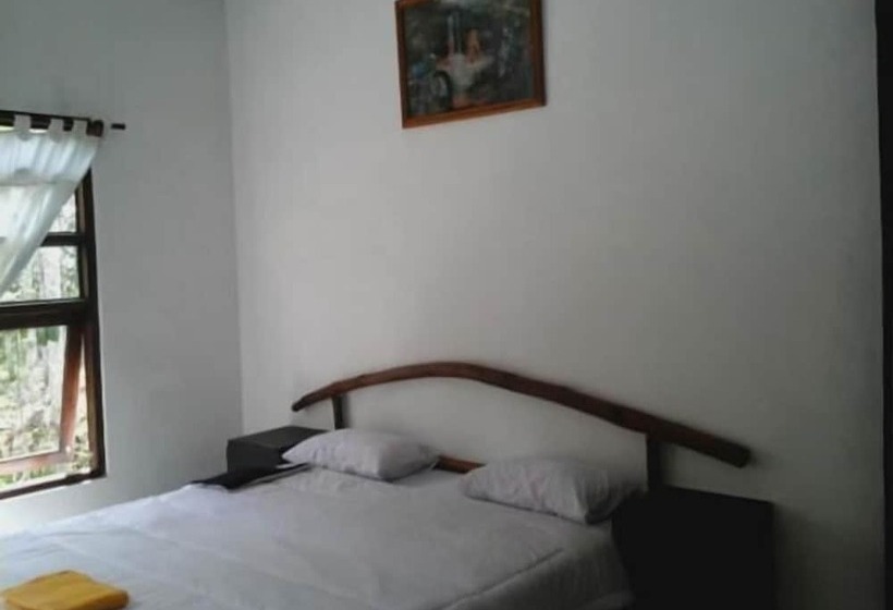 Отель Balitrekk Boutique