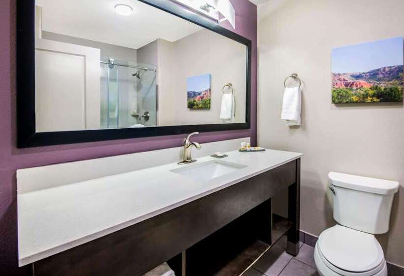 فندق La Quinta By Wyndham Pampa